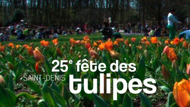 Saint-Denis, la 25e fête des tulipes