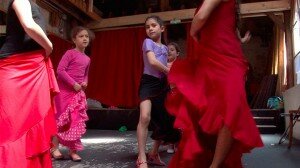 flamenco-img2